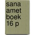 Sana amet boek 16 p