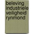 Beleving industriele veiligheid rynmond