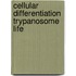 Cellular differentiation trypanosome life