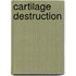 Cartilage destruction