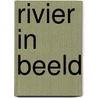 Rivier in beeld door Hoek