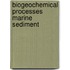 Biogeochemical processes marine sediment