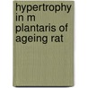 Hypertrophy in m plantaris of ageing rat by Degens