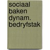Sociaal baken dynam. bedryfstak by Lintel Hekkert