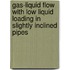 Gas-liquid flow with low liquid loading in slightly inclined pipes