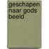 Geschapen naar gods beeld