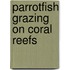 Parrotfish grazing on coral reefs