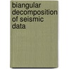 Biangular decomposition of seismic data door P.A. Vercruijsse