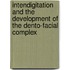 Intendigitation and the development of the dento-facial complex