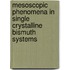 Mesoscopic phenomena in single crystalline bismuth systems