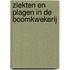 Ziekten en plagen in de boomkwekerij