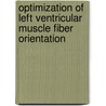 Optimization of left ventricular muscle fiber orientation door J. Rijcken