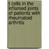 T cells in the inflamed joints of patients with rheumatoid arthritis