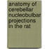 Anatomy of cerebellar nucleobulbar projections in the rat