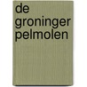 De Groninger pelmolen by D.J. Tinga