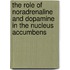 The role of noradrenaline and dopamine in the nucleus accumbens