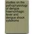 Studies on the pathophysiology of dengue haemorrhagic fever and dengue shock sybdrome