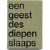 Een geest des diepen slaaps