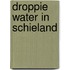 Droppie water in schieland