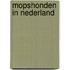 Mopshonden in Nederland