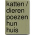 Katten / dieren poezen hun huis
