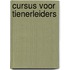Cursus voor tienerleiders