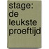 Stage: de leukste proeftijd