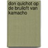 Don Quichot op de bruiloft van Kamacho