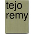 Tejo Remy