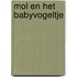 Mol en het babyvogeltje