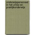 Onderwijspersoneel in het vmbo en praktijkonderwijs