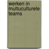 Werken in Multuculturele teams door Sjoerd de Vries