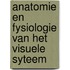 Anatomie en fysiologie van het visuele syteem