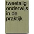Tweetalig onderwijs in de praktijk