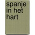 Spanje in het hart