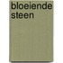 Bloeiende steen