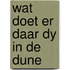 Wat doet er daar dy in de dune