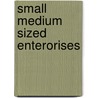 Small medium sized enterorises door Bonnafe Pelissou