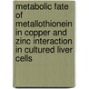 Metabolic fate of metallothionein in copper and zinc interaction in cultured liver cells door O.M. Steinebach