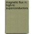 Magnetic flux in high-Tc superconductors