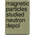 Magnetic particles studied neutron depol