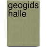 Geogids Halle door P. Diriken