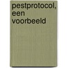 Pestprotocol, een voorbeeld by Cobi de Groot