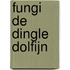 Fungi de Dingle dolfijn
