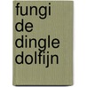 Fungi de Dingle dolfijn door J. Ploeg