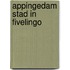 Appingedam stad in Fivelingo