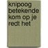 Knipoog betekende kom op je redt het