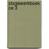 Stagewerkboek ce 3