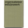 Organisatieleer welzijnswerk by K. Van Eek