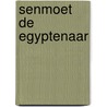 Senmoet de egyptenaar door Dick Vlottes